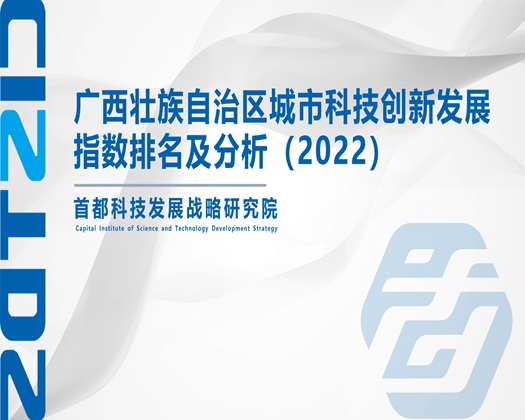 色大屄【成果发布】广西壮族自治区城市科技创新发展指数排名及分析（2022）